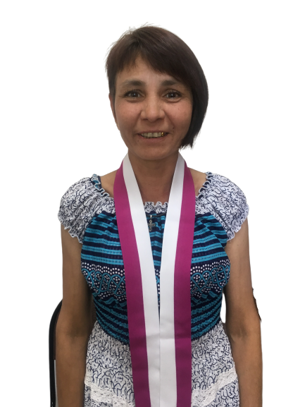 2.5. Воронова О.В. 2.5. Воронова О.В.