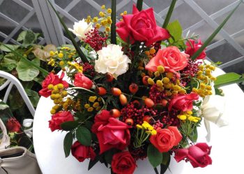 Побывали на Дне открытых дверей